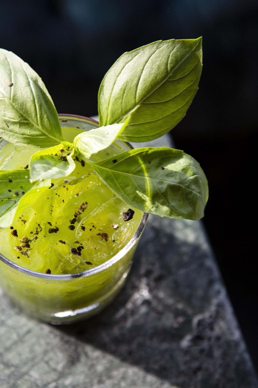 Cocktail with basil garnish