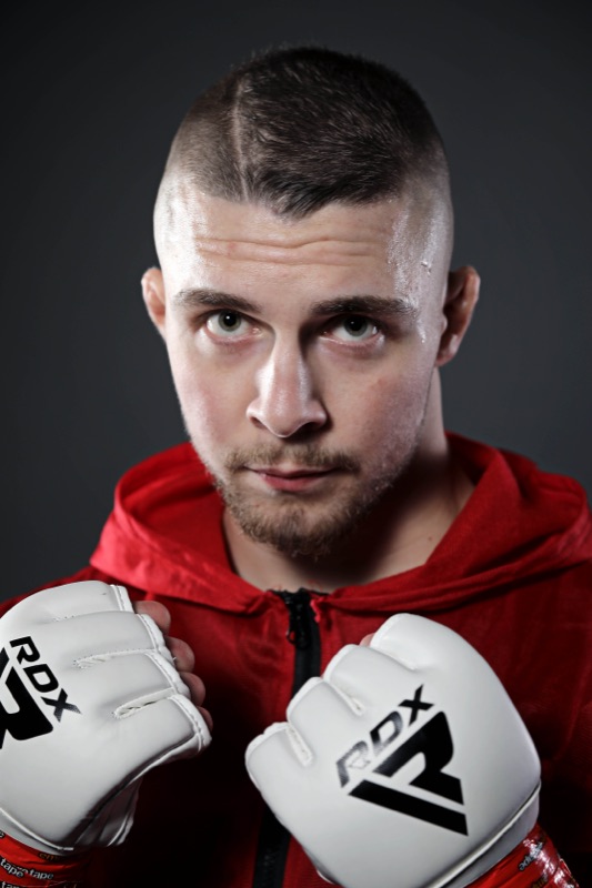 Boxer portrait, studio