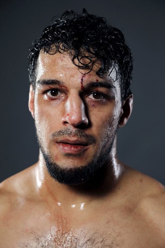 Boxer portrait