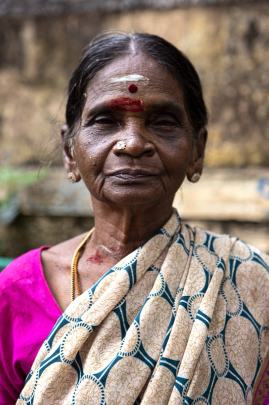 Portrait of a woman in a sari, Chennai, India