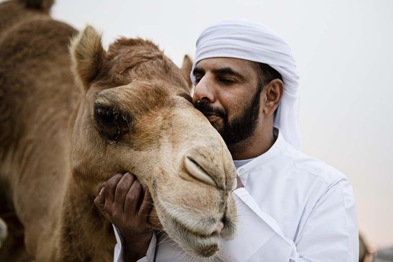 Portrait with a camel, Bahrain