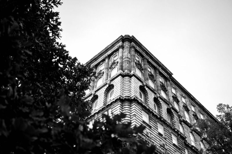 Ornate building facade seen through trees, black and white