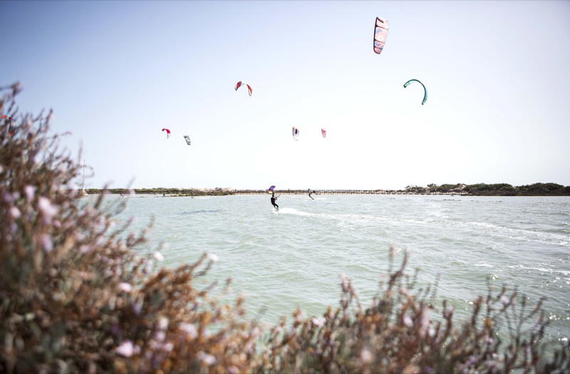 Kitesurfers on the water
