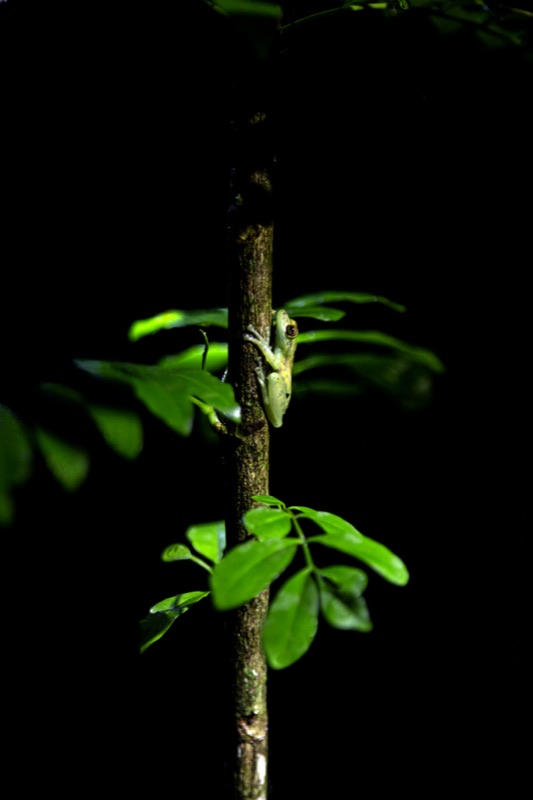 Costa Rica