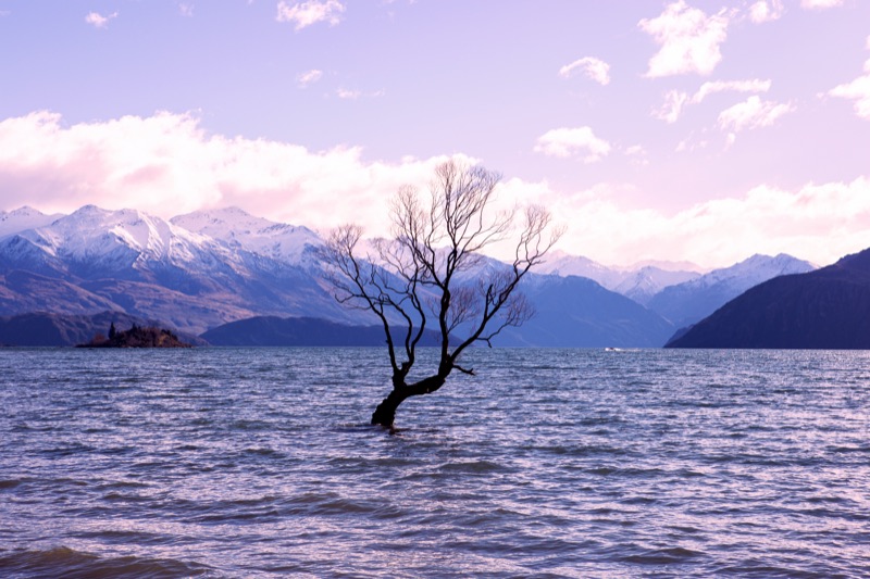 Landscape, South Island, New Zealand