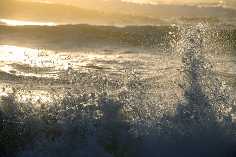 Surfer, Ovar, Portugal