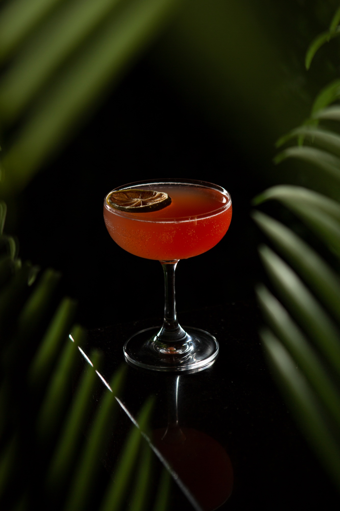 Cocktail photography, moody lighting