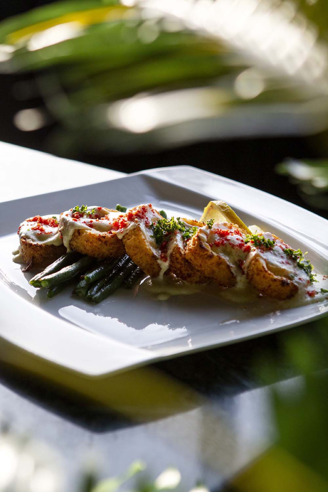 Plated dish, hospitality photography